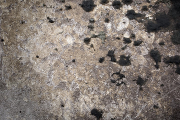 Gloomy grey wall with mold 