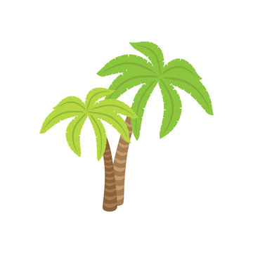 Two vector graphic palm trees isolated on a white bacground, palm tree logo, palm tree icon.