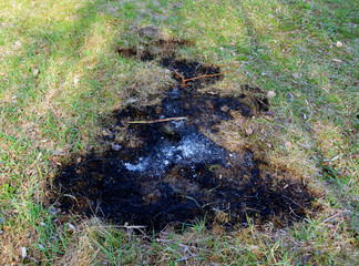 burnt grass