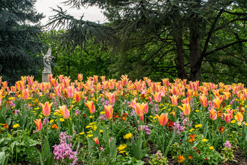 Obraz premium Spring flowers, Paris