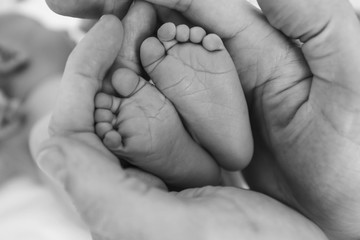 Feet of a newborn baby boy wrapped in the arms of his father