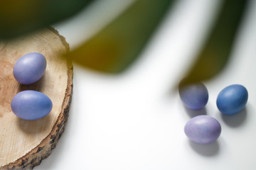 painted purple eggs on a tree on a light Easter background