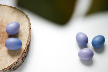 painted purple eggs on a tree on a light Easter background