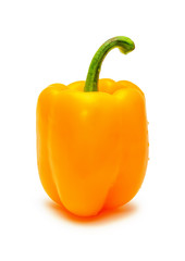Yellow paprika