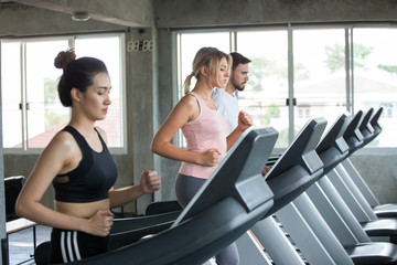 Fototapeta premium group of young people running on treadmills in sport gym .fitness woman and man runner on running machine in morning time.workout training