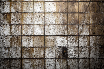 Gloomy grey wall with mold 4