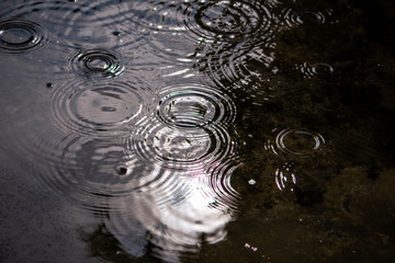 Ripples on a water surface during sun shower.