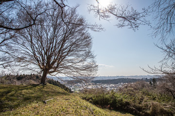 小高い山から街を望む