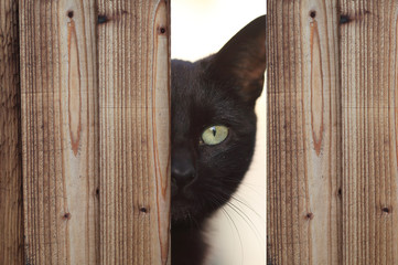 It is time for some magic to be revealed 