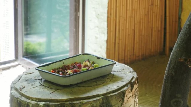 dish with bird food, fruits