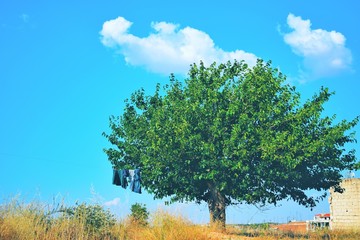 Life still has meaning in a country where ruin is haunting its name! Spring in Syria