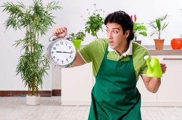Young male gardener with plants indoors 