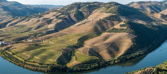 View of the terraced vineyards in the Douro Valley and river near the village of Pinhao, Portugal....