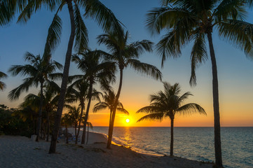 Fototapeta na wymiar Varadero Beach Sunset with Palm Trees
