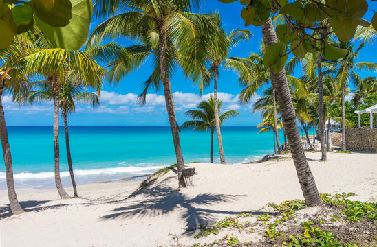 Cuba Varadero Beach Tropical Background