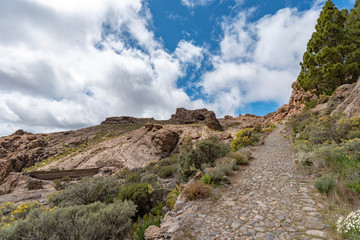Fototapeta na wymiar Wandern auf Gran Canaria
