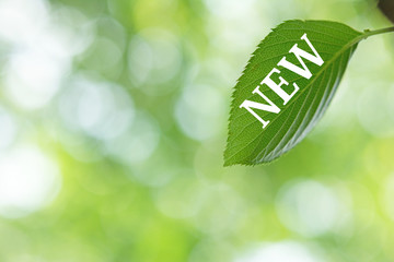 NEW