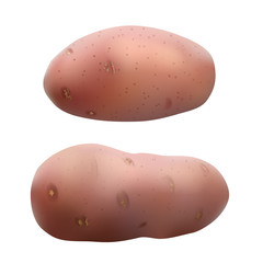 potatoes on white