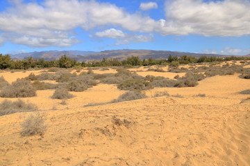 Aerial view of the Maspalomas dunes on Gran Canaria island.