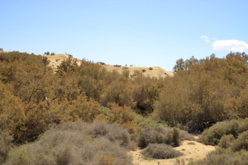 Aerial view of the Maspalomas dunes on Gran Canaria island.