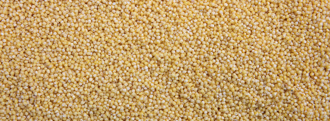 Raw millet grains full frame background, banner