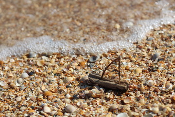 homemade boat made of bark and sticks stands on the beach of shells