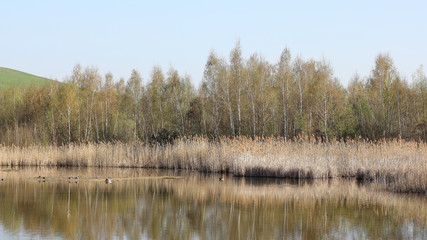 Small lake at the foot of the Arkenberge hill in Berlin
