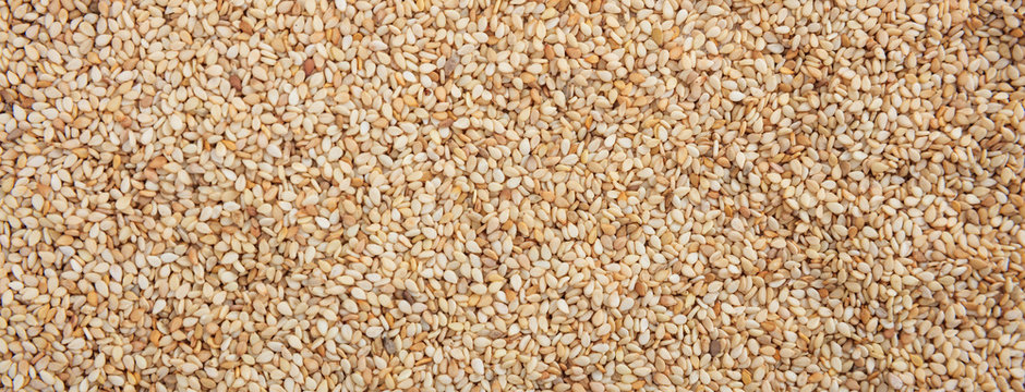 Raw Sesame Seeds Full Frame Background, Banner