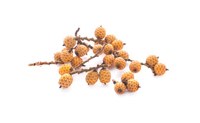 rattan fruit on white background