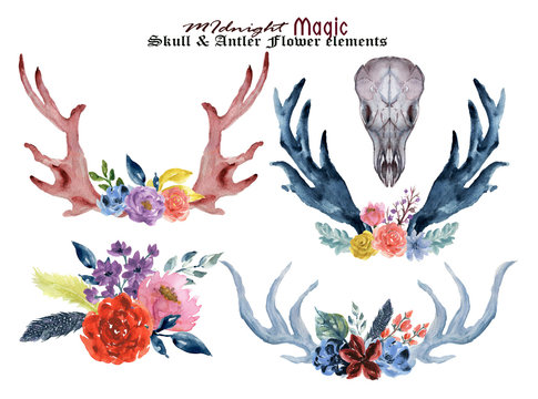 Set of hand painted watercolor flowers, leaves, antlers and horns  in rustic style. Bohemian composition perfect for floral design