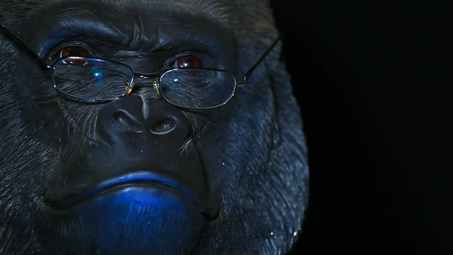 gorilla head glasses dark background hd footage 