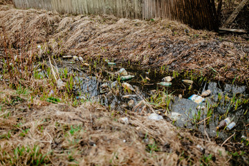 plastic bottle pollution