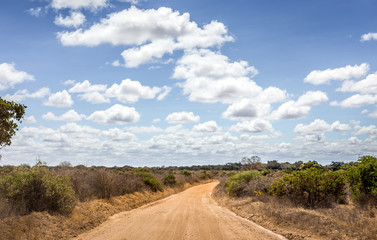 Fototapeta na wymiar Safari road in Kenya