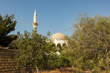 Fototapeta na wymiar Tower and dome of mosque behind trees, blue clear sky above, at Rizorkarpaso - city in Northern Cyprus known for Muslims and Christians living in peace
