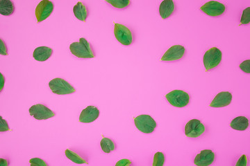 Pattern of petals clover leaves on a pink background. Natural wallpaper. Flat lay, top view