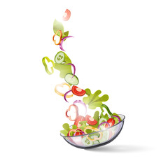 vegetable salad, vector. Vegetables are falling into a plate