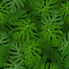 Naklejka na ściany i meble dark background seamless with tropical leaves, vector