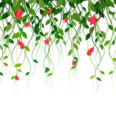 Lianas, leaves and pink flowers. Curtain, vector.