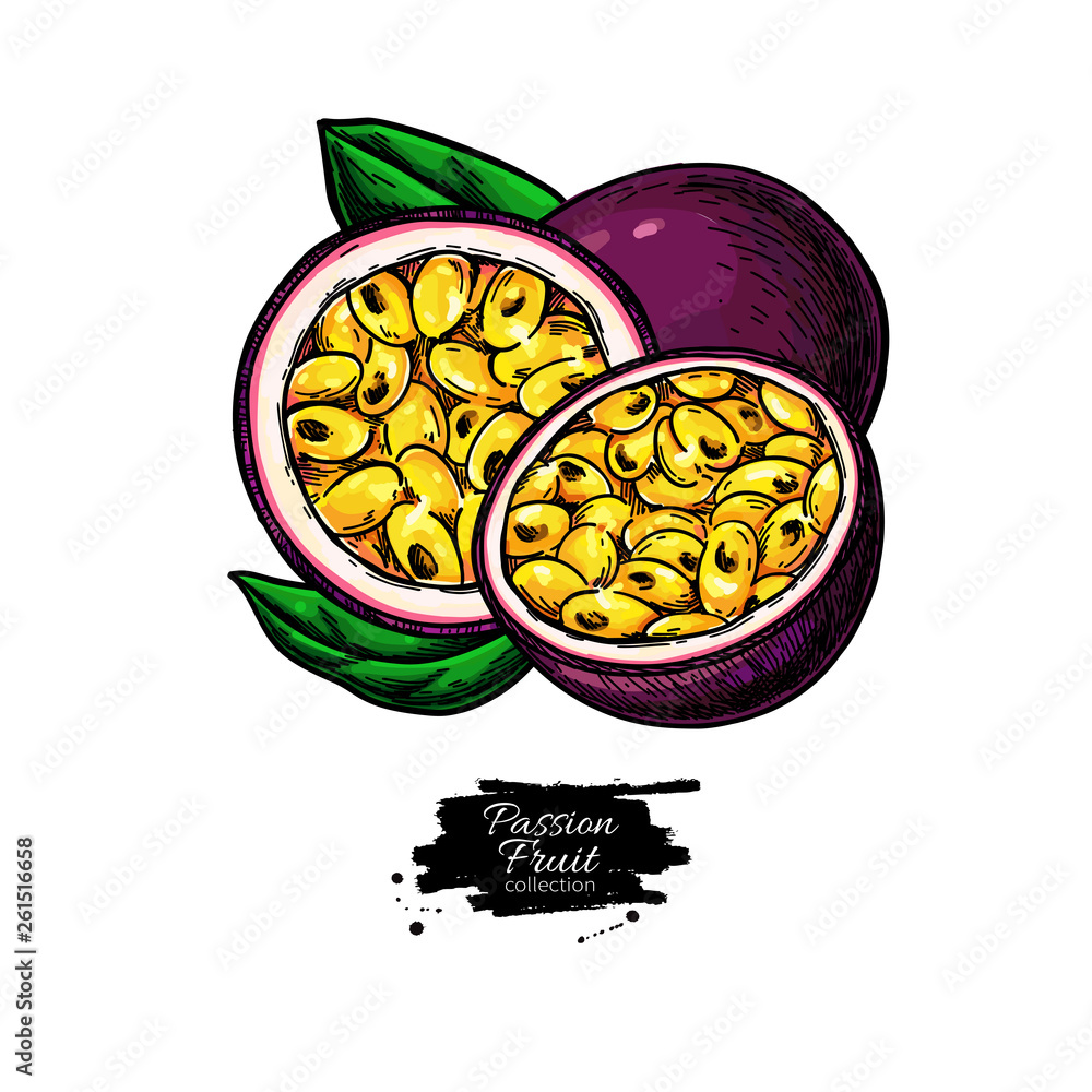 Wall mural passion fruit vector drawing. hand drawn tropical food illustration. summer passionfruit.