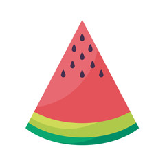 fresh slice of watermelon fruit