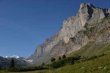 Fototapeta na wymiar paroie des Fiz et Mont-Blanc - Alpes