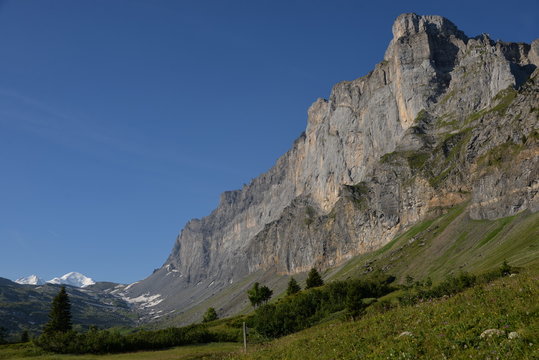 paroie des Fiz et Mont-Blanc - Alpes