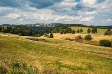 Fototapeta na wymiar Herbstliche Wiese im Thüringer Wald Deutschland