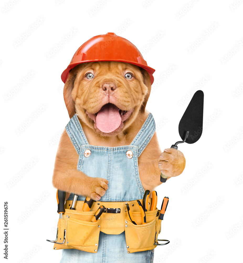 Poster funny puppy builder with a trowel. isolated on white background
