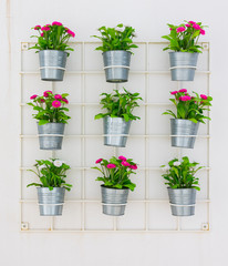 Blumentöpfe an der Hauswand