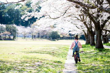 桜の木の下で自転車に乗る女の子