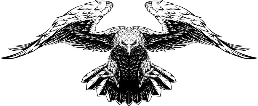 Hawk Drawing Images – Browse 100,903 Stock Photos, Vectors ...
