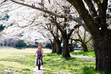 桜の木の下で自転車に乗る女の子