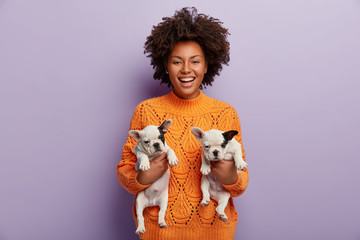 Shot of cheerful dark skinned female with curly hair, holds two new born pedigree cute puppies, finds new host for pets, being in good mood, wears orange jumper, isolated over purple background