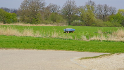 Landschaft Blumen Feld 